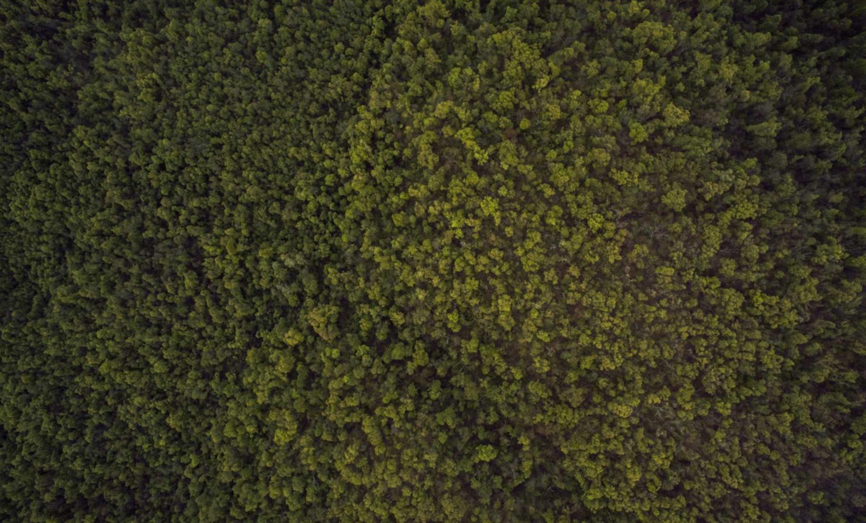 物联网卡买卖：代理货运公司注册如何收费