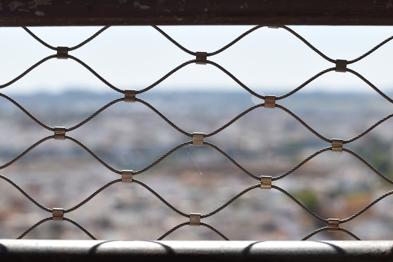 阴阳师：百闻牌：成都移动app详情下载教程