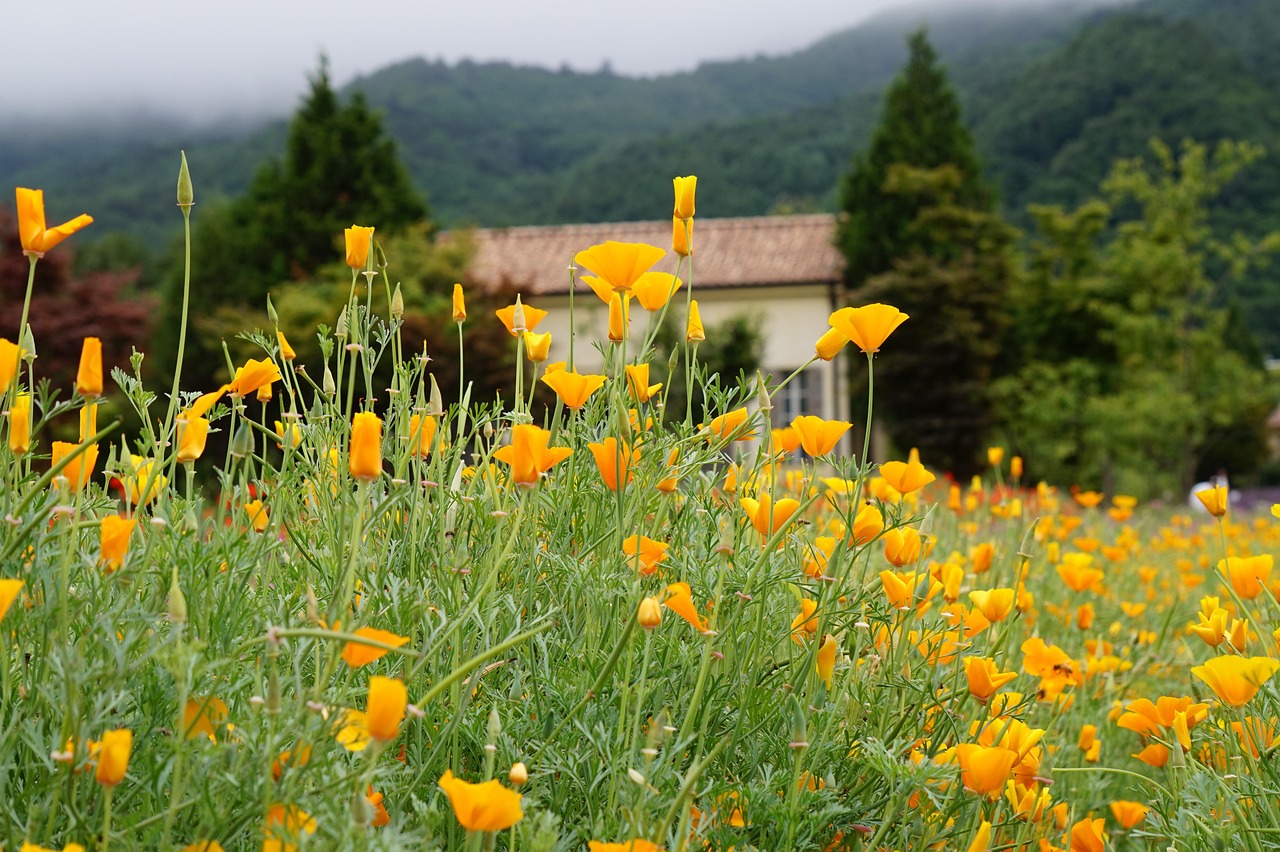 如何识别出来隐蔽的游戏技术支持 