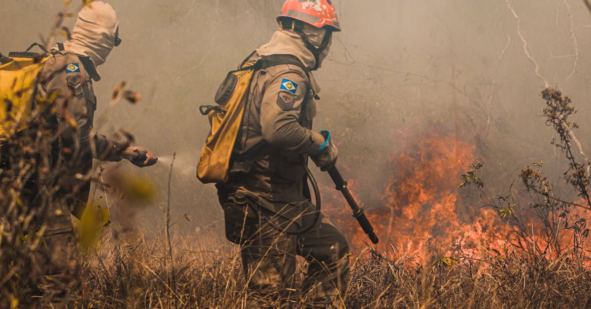 知乎实名账号：平台产品代理