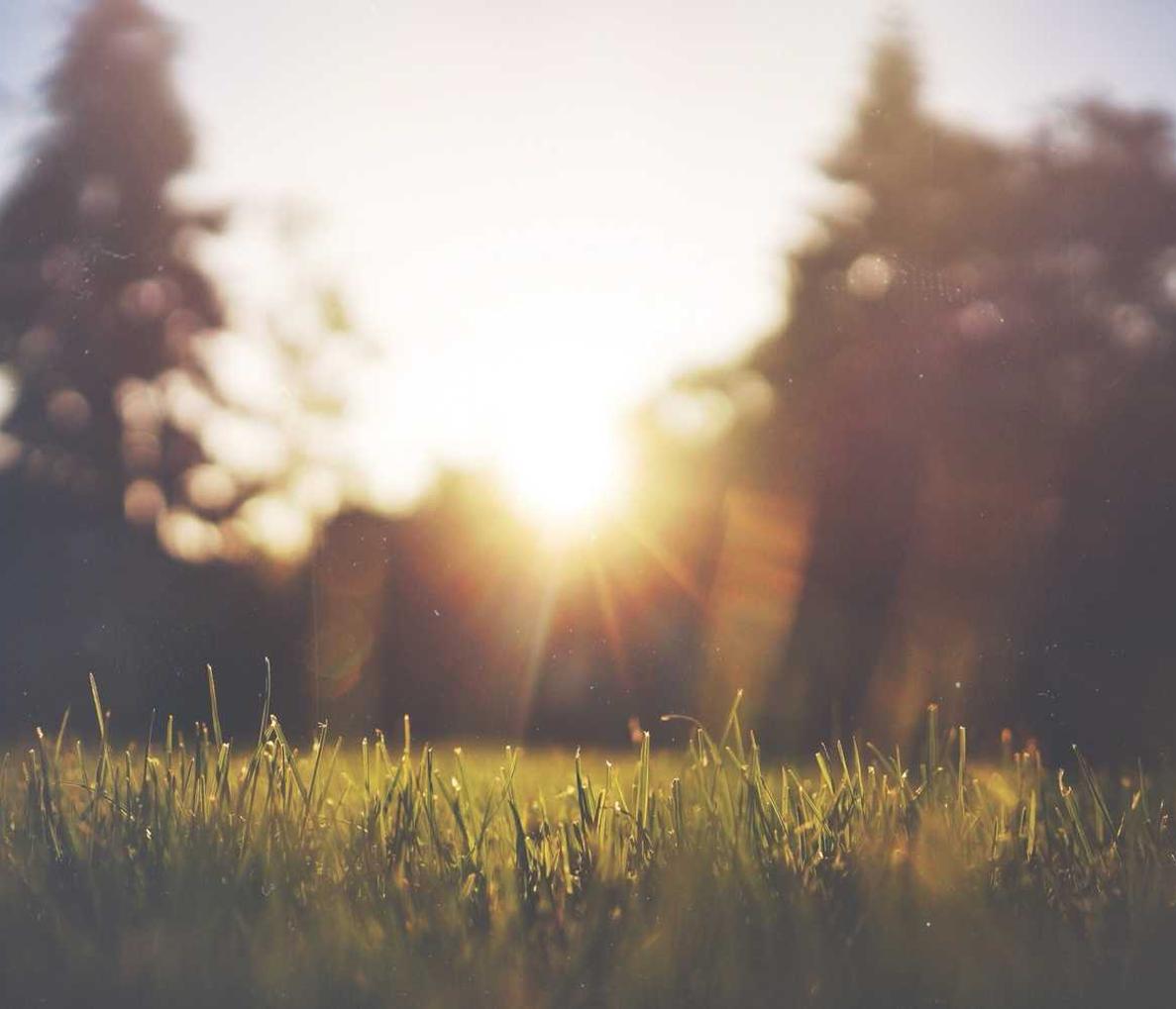 三国杀：乡村在线怎么注册村委账号